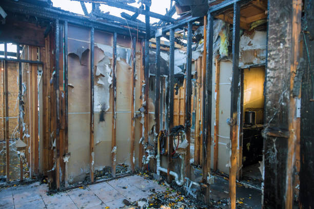 Professional Fire Damage Removal technician working in South Pasadena, FL